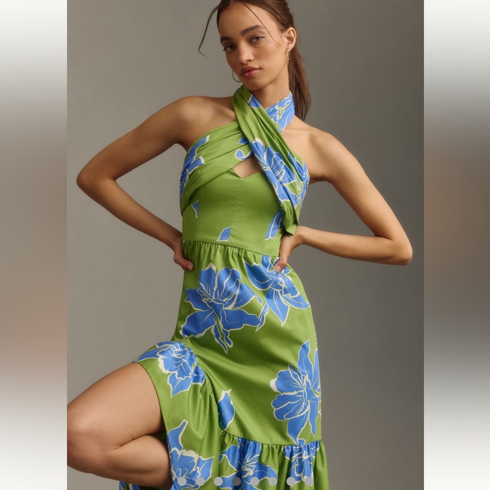 Hutch Joslin Cotton Sateen Midi-Dress Anthropologie - Picture 5 of 11